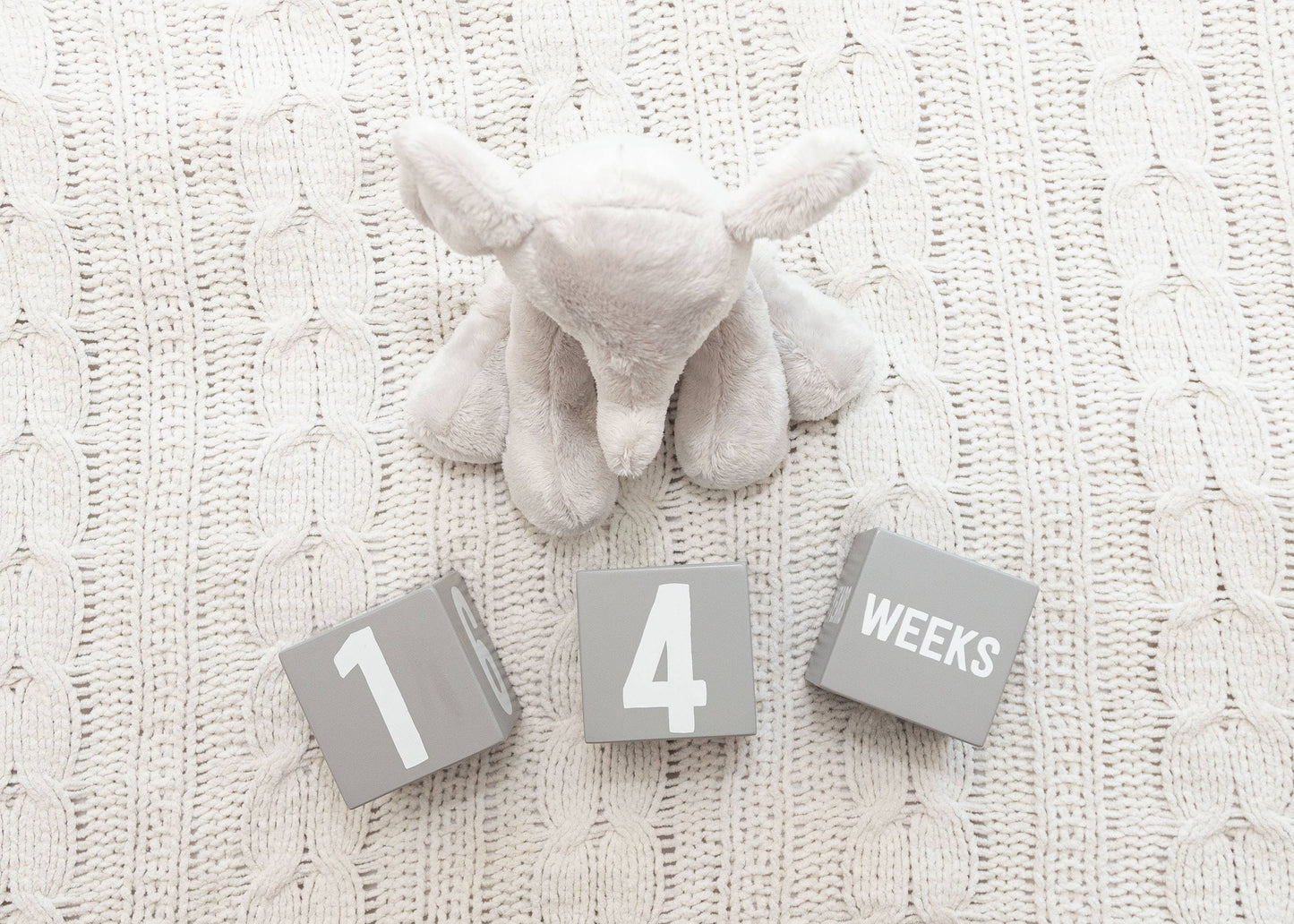 Wooden Milestone Age Blocks Photo Prop