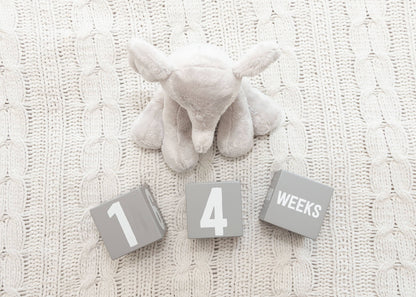 Wooden Milestone Age Blocks Photo Prop