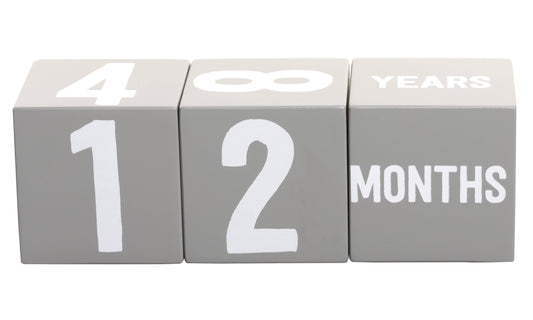 Wooden Milestone Age Blocks Photo Prop