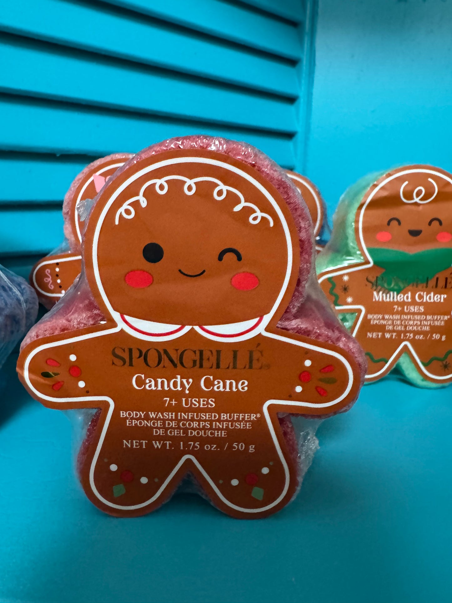 Spongelle Gingerbread Collection