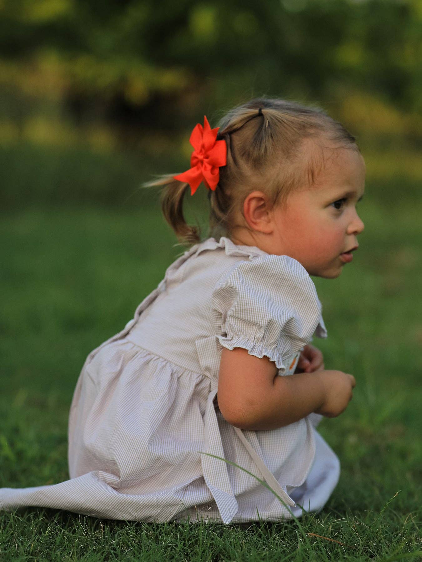 Fall Halloween & Thanksgiving Pumpkin Embroidery Smock Plaid Girls Dress