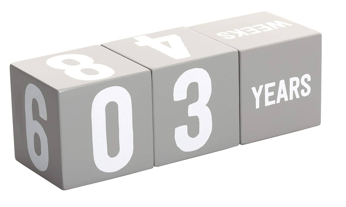 Wooden Milestone Age Blocks Photo Prop